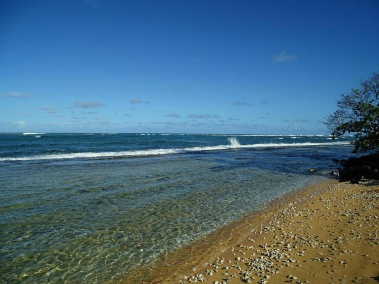 Kapaa Shores | Pristine Beach Kauai Εξωτερικό φωτογραφία